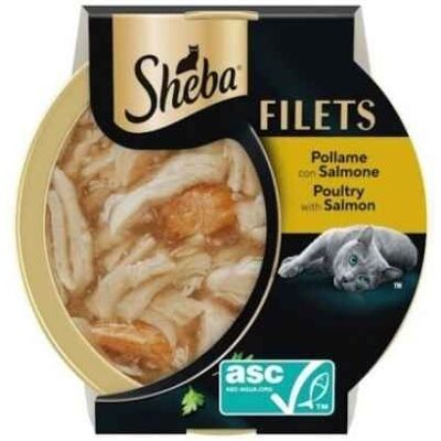 Sheba Filets per Gatti Pollame e Salmone Vaschetta 60g Sheba Filets per Gatti Pollame e Salmone Vaschetta 60g