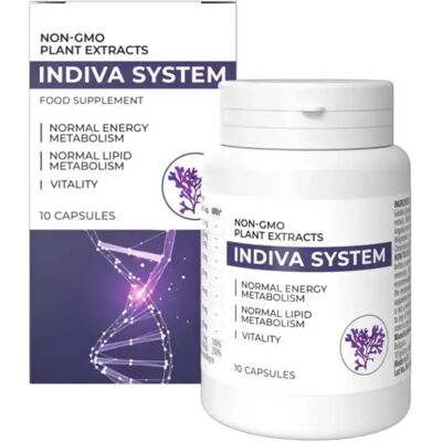 InDiva System InDiva System