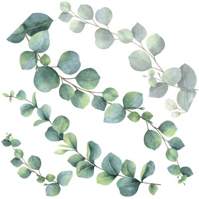 Crearreda - 2fg - eucalyptus - 31x31 cm - adesivo murale in vinile Crearreda - 2fg - eucalyptus - 31x31 cm - adesivo murale in vinile