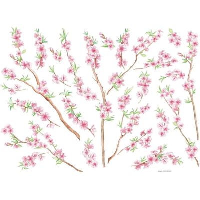 Crearreda - Pesco 47x65 cm - Pesca - 47x65 cm - Adesivo parete Crearreda - Pesco 47x65 cm - Pesca - 47x65 cm - Adesivo parete