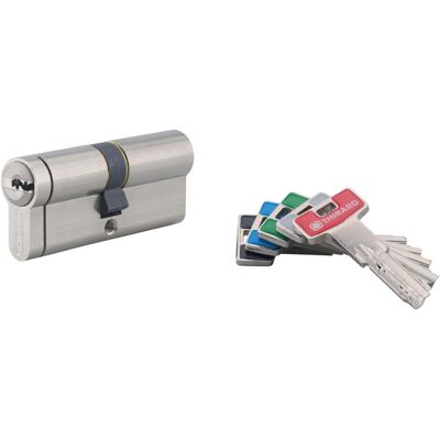 Thirard Cilindro di sicurezza T2 35x35 mm nichelato meccanismo 6 perni 5 chiavi Thirard Cilindro di sicurezza T2 35x35 mm nichelato meccanismo 6 perni 5 chiavi
