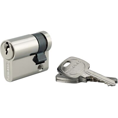 Thirard Mezzo cilindro di sicurezza STD ottone 30x10 mm meccanismo 5 pin 3 chiavi Thirard Mezzo cilindro di sicurezza STD ottone 30x10 mm meccanismo 5 pin 3 chiavi