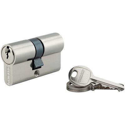 Thirard Cilindro di sicurezza SA nichelato 27x27 mm meccanismo 5 pin 3 chiavi Thirard Cilindro di sicurezza SA nichelato 27x27 mm meccanismo 5 pin 3 chiavi