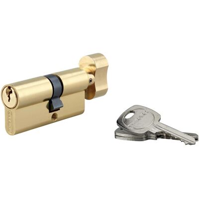 Thirard Cilindro di sicurezza STD ottone con pomolo 30x40 mm 5 perni 3 chiavi Thirard Cilindro di sicurezza STD ottone con pomolo 30x40 mm 5 perni 3 chiavi