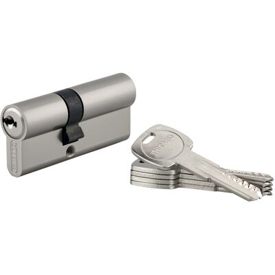 Thirard Cilindro di sicurezza Trafic6 30x40 mm ottone nichelato 6 perni 5 chiavi Thirard Cilindro di sicurezza Trafic6 30x40 mm ottone nichelato 6 perni 5 chiavi