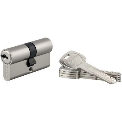 Thirard Cilindro di sicurezza Trafic6 30x30 mm ottone nichelato 6 perni 5 chiavi Thirard Cilindro di sicurezza Trafic6 30x30 mm ottone nichelato 6 perni 5 chiavi