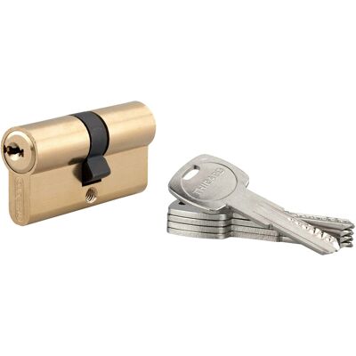 Thirard Cilindro di sicurezza Trafic6 30x30 mm ottone 5 chiavi Thirard Cilindro di sicurezza Trafic6 30x30 mm ottone 5 chiavi