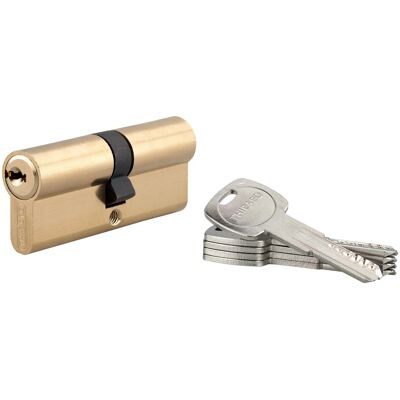 THIRARD - Trafic 6 - 40x40mm - ottone - Cilindro porta THIRARD - Trafic 6 - 40x40mm - ottone - Cilindro porta