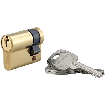 Thirard Mezzo cilindro di sicurezza STDottone 30x10 mm meccanismo 5 pin 3 chiavi Thirard Mezzo cilindro di sicurezza STDottone 30x10 mm meccanismo 5 pin 3 chiavi