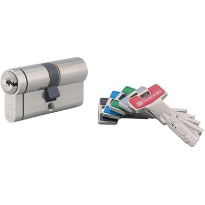 Thirard Cilindro di sicurezza T2 30x30 mm nichelato meccanismo 6 perni 5 chiavi Thirard Cilindro di sicurezza T2 30x30 mm nichelato meccanismo 6 perni 5 chiavi