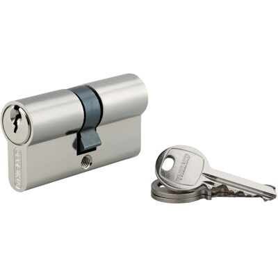 Thirard Cilindro di sicurezza SA nichelato 30x30 mm meccanismo 5 pin 3 chiavi Thirard Cilindro di sicurezza SA nichelato 30x30 mm meccanismo 5 pin 3 chiavi