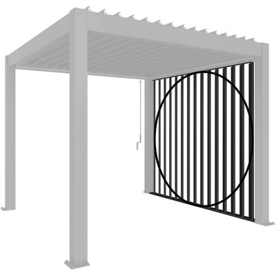 Biohort Parete laterale per Pergola a lamelle grigio scuro met 245x234 cm Biohort Parete laterale per Pergola a lamelle grigio scuro met 245x234 cm