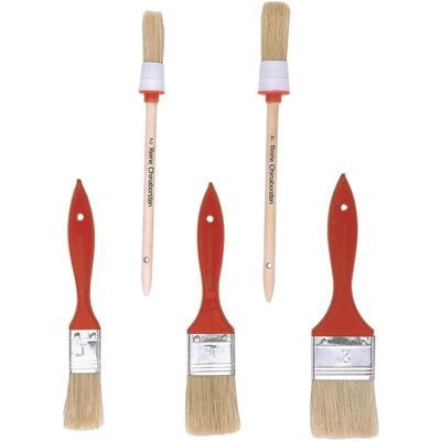 Set di pennelli assortiti piatti e tondi 5 pz Set di pennelli assortiti piatti e tondi 5 pz