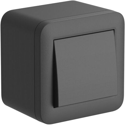 Electraline Contenitore Fixa con interruttore 10A nero Electraline Contenitore Fixa con interruttore 10A nero