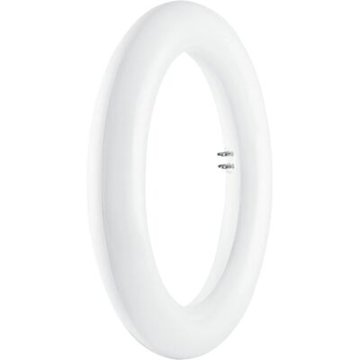 Osram Tubo LED circolare per dispositivi elettromagnetici attacco 12 W G10q Osram Tubo LED circolare per dispositivi elettromagnetici attacco 12 W G10q