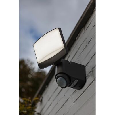- Applique solare da esterno LED Lutec Sunshine 7,5 W 500 lm 5000 K 24,5x18x20 cm - Applique solare da esterno LED Lutec Sunshine 7,5 W 500 lm 5000 K 24,5x18x20 cm