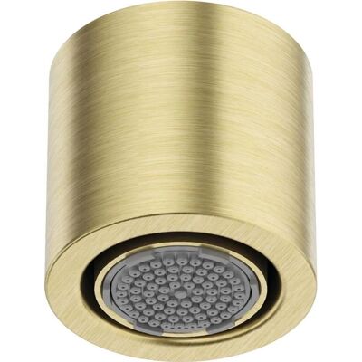 Testa doccia Serie 600, 1 modalità, oro spazzolato - Shower Head Testa doccia Serie 600, 1 modalità, oro spazzolato - Shower Head