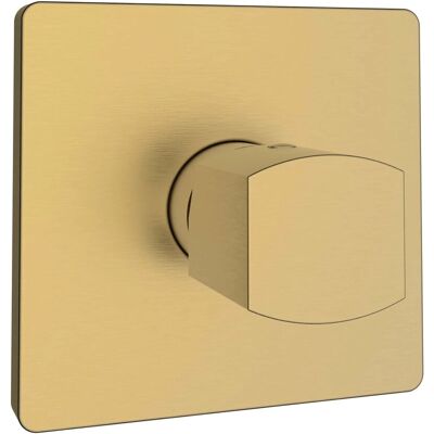Aquasanit Miscelatore incasso doccia Zefir oro opaco Ø 25 mm Aquasanit Miscelatore incasso doccia Zefir oro opaco Ø 25 mm