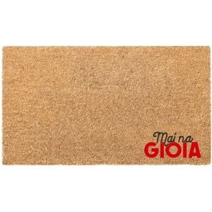 - Zerbino in cocco 40x70x1,4 cm con scritte assortito - Zerbino in cocco 40x70x1,4 cm con scritte assortito