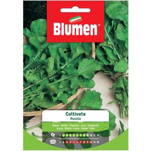 IPERBRIKO - Semi di Rucola - Aromatica, Verde, 0,5cm IPERBRIKO - Semi di Rucola - Aromatica, Verde, 0,5cm