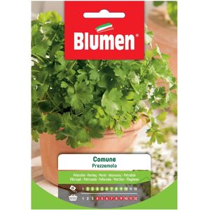 Semi di Prezzemolo BLUMEN - Aromatico, Crescita Media Semi di Prezzemolo BLUMEN - Aromatico, Crescita Media