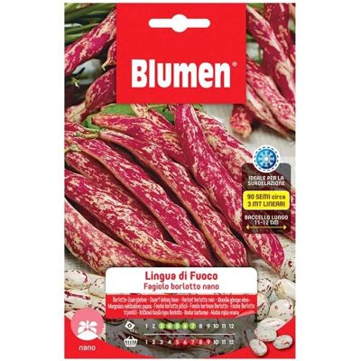 BLUMEN Modello - Semi grandi e rotondi - Semi BLUMEN Modello - Semi grandi e rotondi - Semi