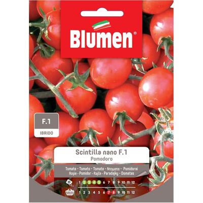Semi di Pomodoro Ciliegino Blumen F.1 - Semi di Verdure Semi di Pomodoro Ciliegino Blumen F.1 - Semi di Verdure
