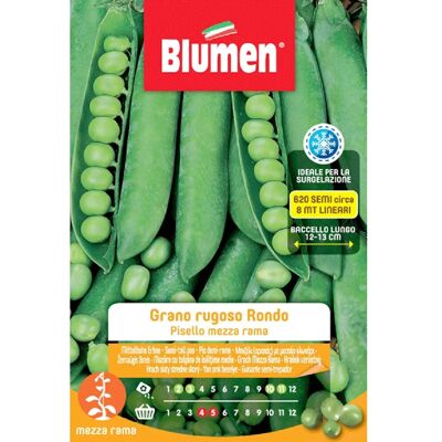 Blumen Semi Piselli mezza rama grano rugoso rondo 250 g Blumen Semi Piselli mezza rama grano rugoso rondo 250 g