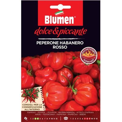 Blumen Semi Peperone Habanero rosso Blumen Semi Peperone Habanero rosso