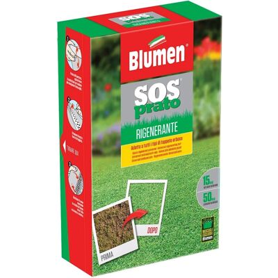 Blumen Semi prato Forte rigenerante 500 g Blumen Semi prato Forte rigenerante 500 g