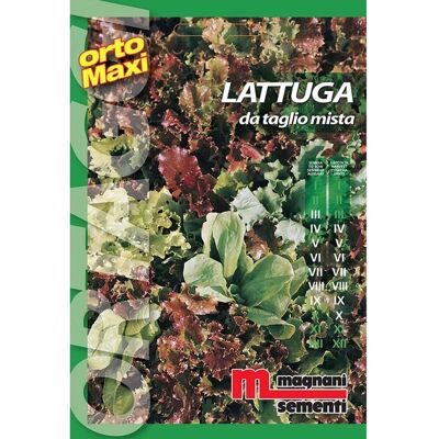 Semi di Lattuga Mista Magnani - Semi Orto Semi di Lattuga Mista Magnani - Semi Orto