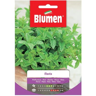 Blumen Semi Menta Blumen Semi Menta