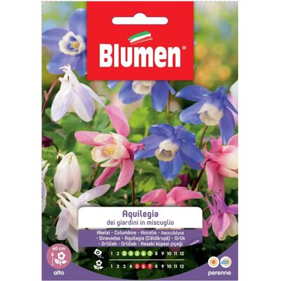 Semi di Aquilegia BLUMEN - Miscela Giardino Semi di Aquilegia BLUMEN - Miscela Giardino