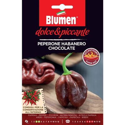 Blumen Semi Peperone Habanero chocolate Blumen Semi Peperone Habanero chocolate