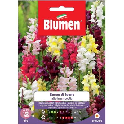 Blumen Semi Bocca di leone alta in miscuglio Blumen Semi Bocca di leone alta in miscuglio