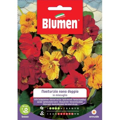 Blumen Semi nasturzio nano doppio in miscuglio Blumen Semi nasturzio nano doppio in miscuglio