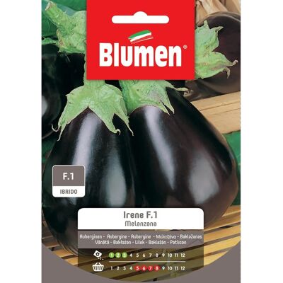 Blumen Semi Melanzana Irene f.1 Blumen Semi Melanzana Irene f.1