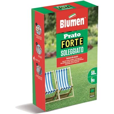 Blumen Semi prato Forte soleggiato 1 kg Blumen Semi prato Forte soleggiato 1 kg