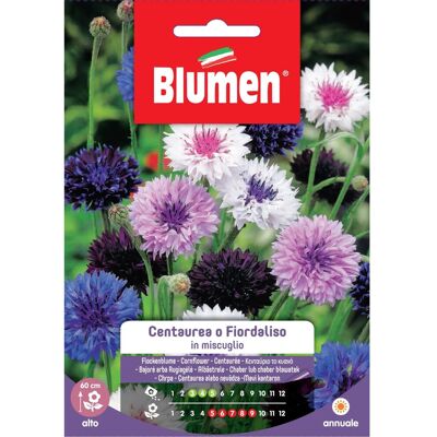 Blumen Semi Centaurea o fiordaliso in miscuglio Blumen Semi Centaurea o fiordaliso in miscuglio