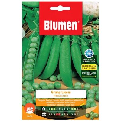 Blumen Semi Piselli Nani Grano Liscio Blumen Semi Piselli Nani Grano Liscio
