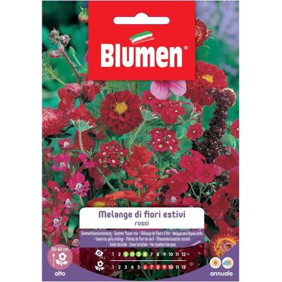 Blumen Semi Melange di fiori estivi rossi Blumen Semi Melange di fiori estivi rossi