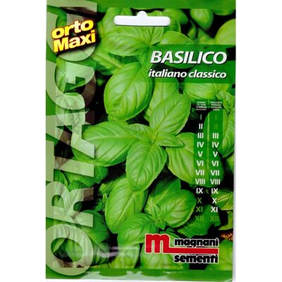 Semi aromi Basilico italiano classico Semi aromi Basilico italiano classico