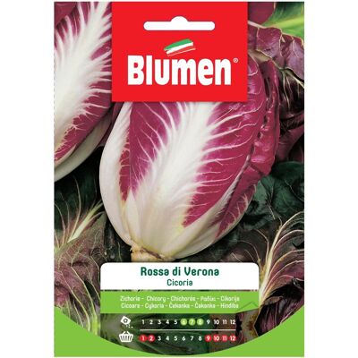 Blumen Semi Cicoria rossa di Verona 20 g Blumen Semi Cicoria rossa di Verona 20 g