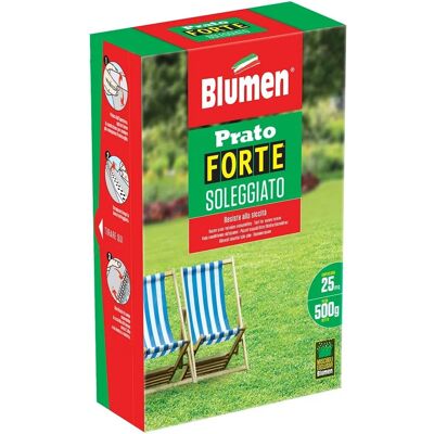 Blumen Semi prato Forte soleggiato 500 g Blumen Semi prato Forte soleggiato 500 g