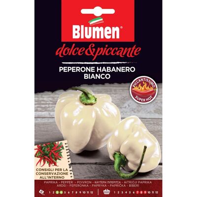 Blumen Semi peperone Habanero Bianco Blumen Semi peperone Habanero Bianco