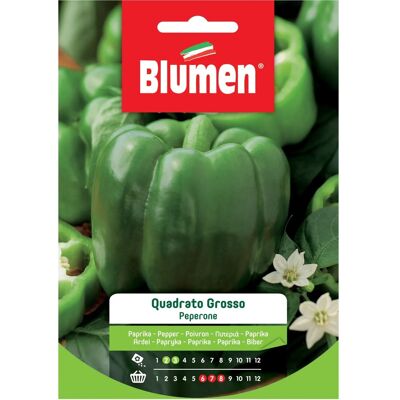 Blumen Semi Peperone grosso quadrato Blumen Semi Peperone grosso quadrato