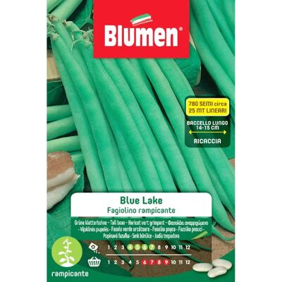 Blumen Semi Fagiolini rampicanti Blue Lake 250 g Blumen Semi Fagiolini rampicanti Blue Lake 250 g