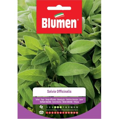 Semi Salvia Officinalis Blumen Sementi - Erbe Aromatiche Semi Salvia Officinalis Blumen Sementi - Erbe Aromatiche