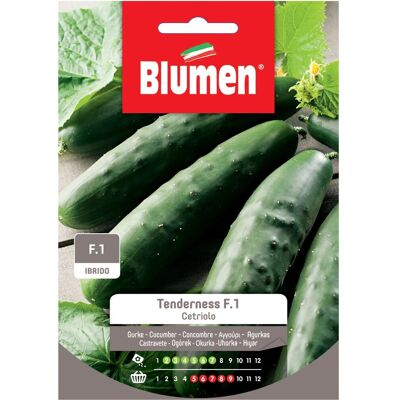Blumen Semi Cetriolo f.1 Blumen Semi Cetriolo f.1