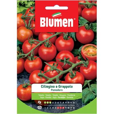 Blumen - Semi di Pomodoro Indeterminato - Grappoli Lunghi Blumen - Semi di Pomodoro Indeterminato - Grappoli Lunghi